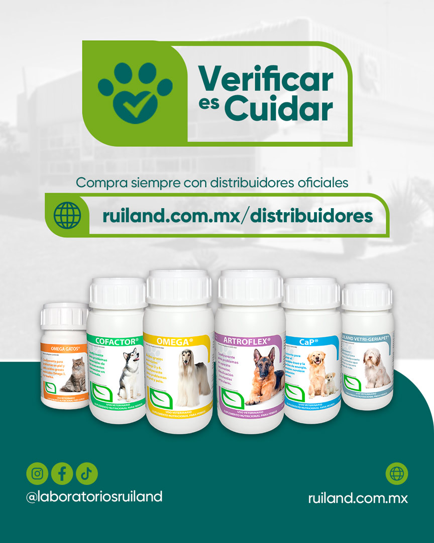 Verificar es cuidad.